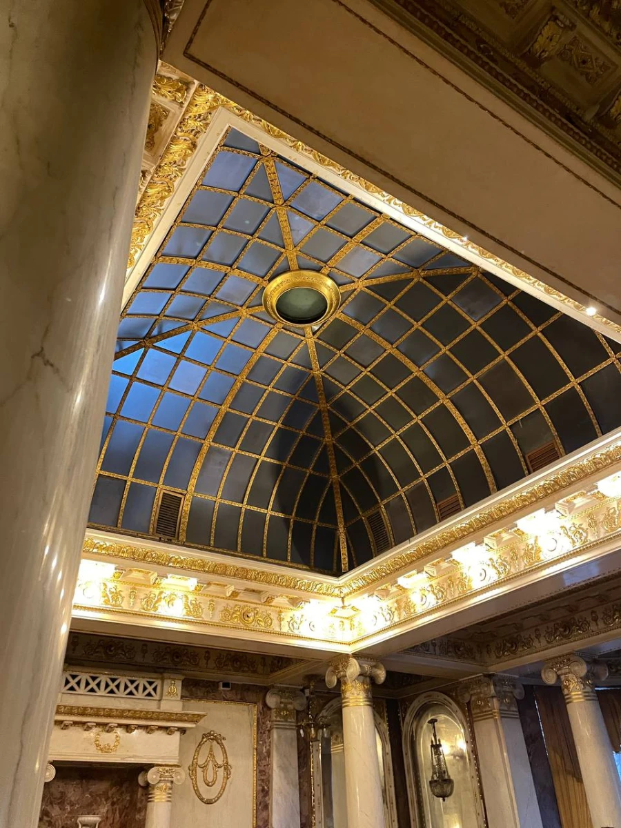 Дом Коншиной или ЦДУ РАН