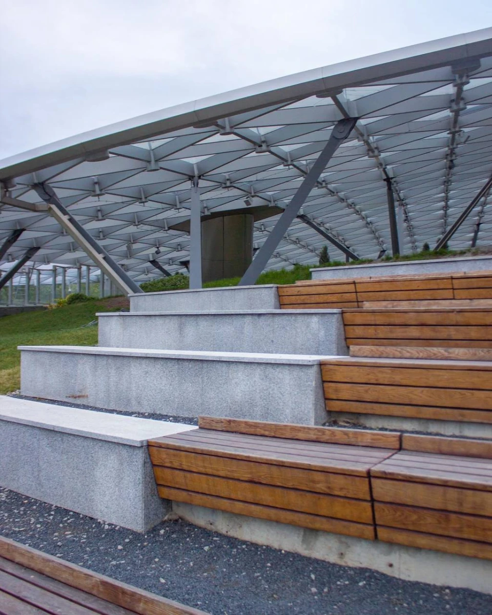 Стеклянная кора