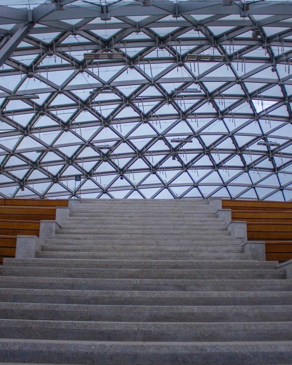 Стеклянная кора