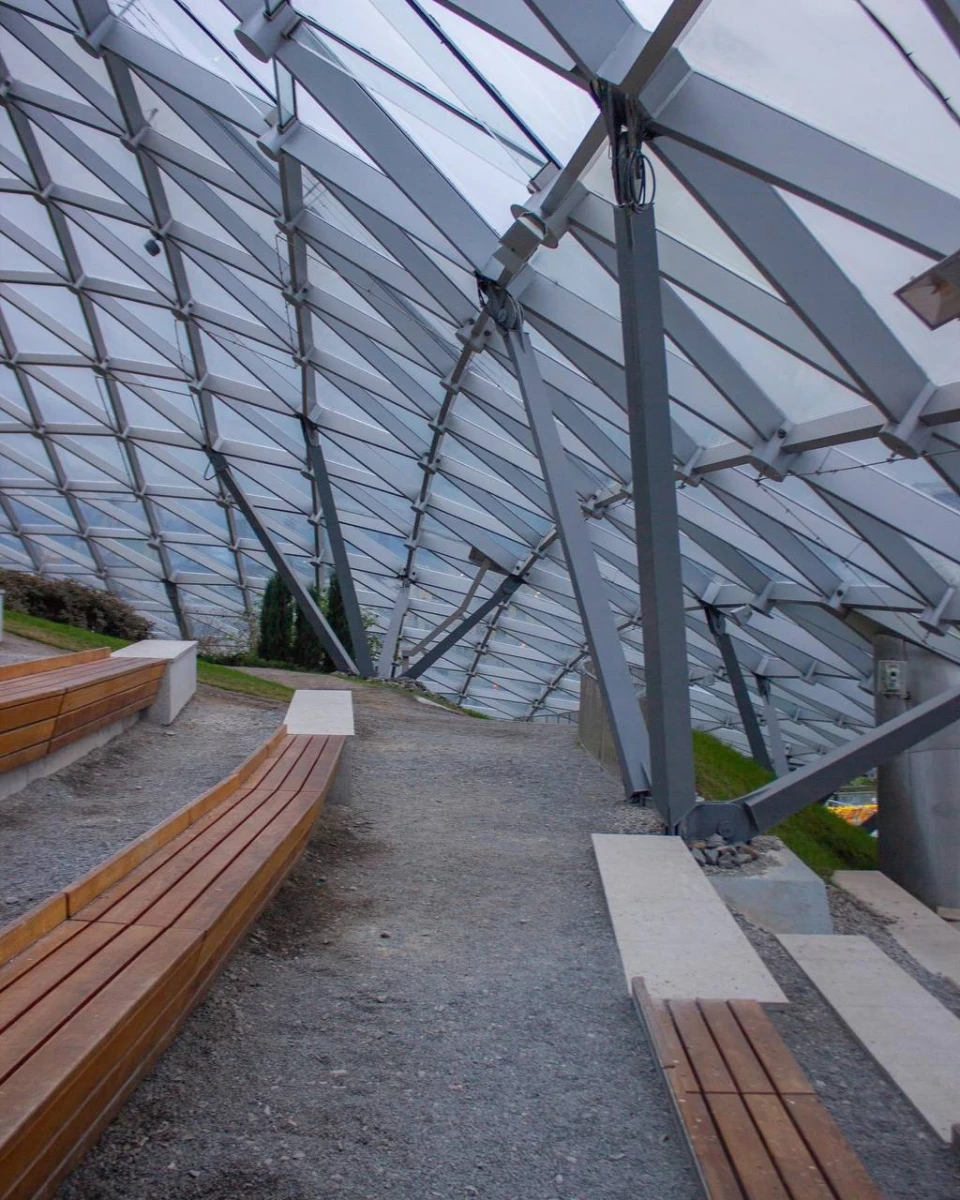 Стеклянная кора