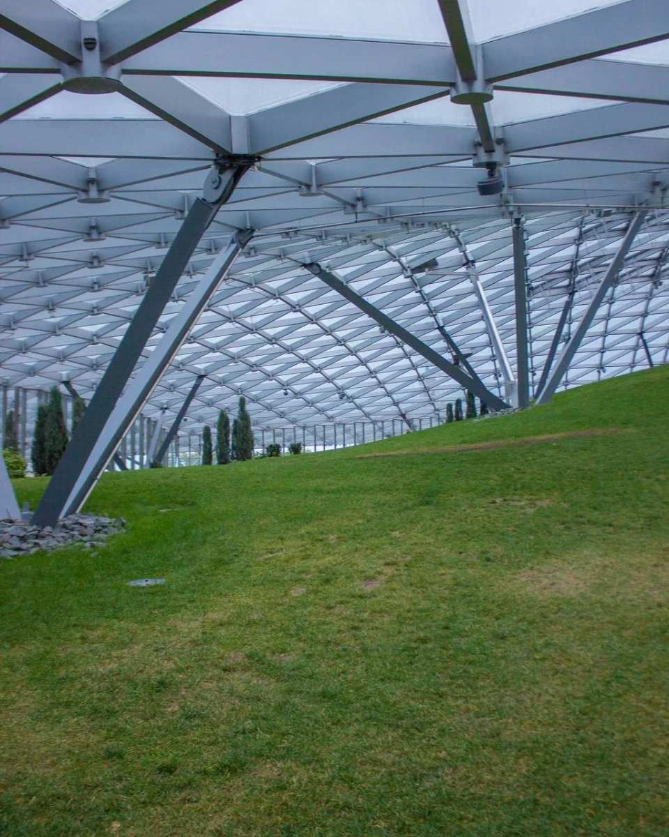 Стеклянная кора