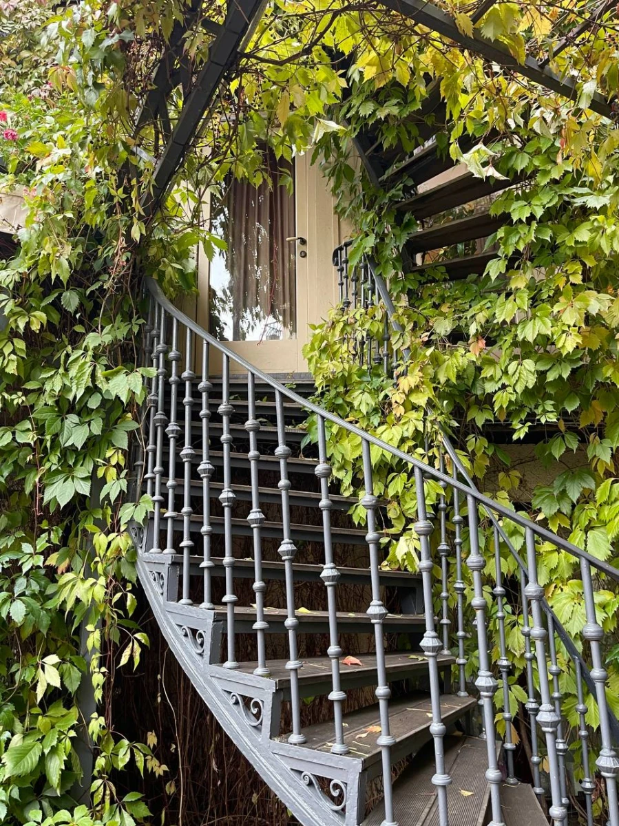 Тифлисский дворик