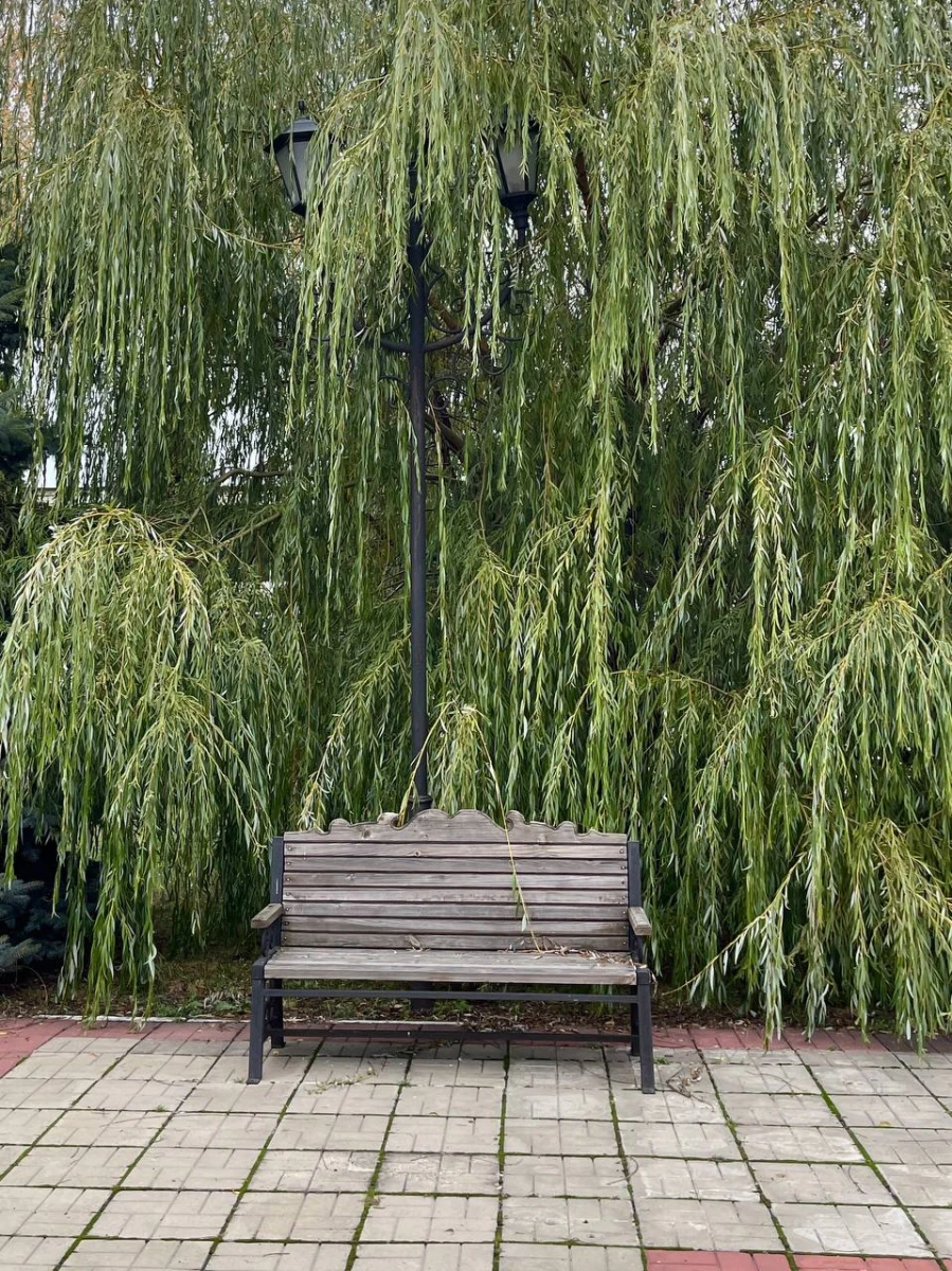 Паровозное депо Подмосковная