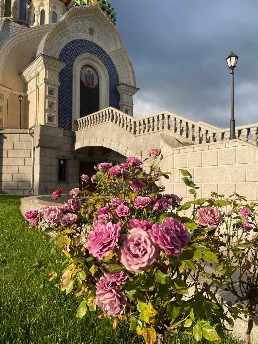 Собор Игоря Черниговского