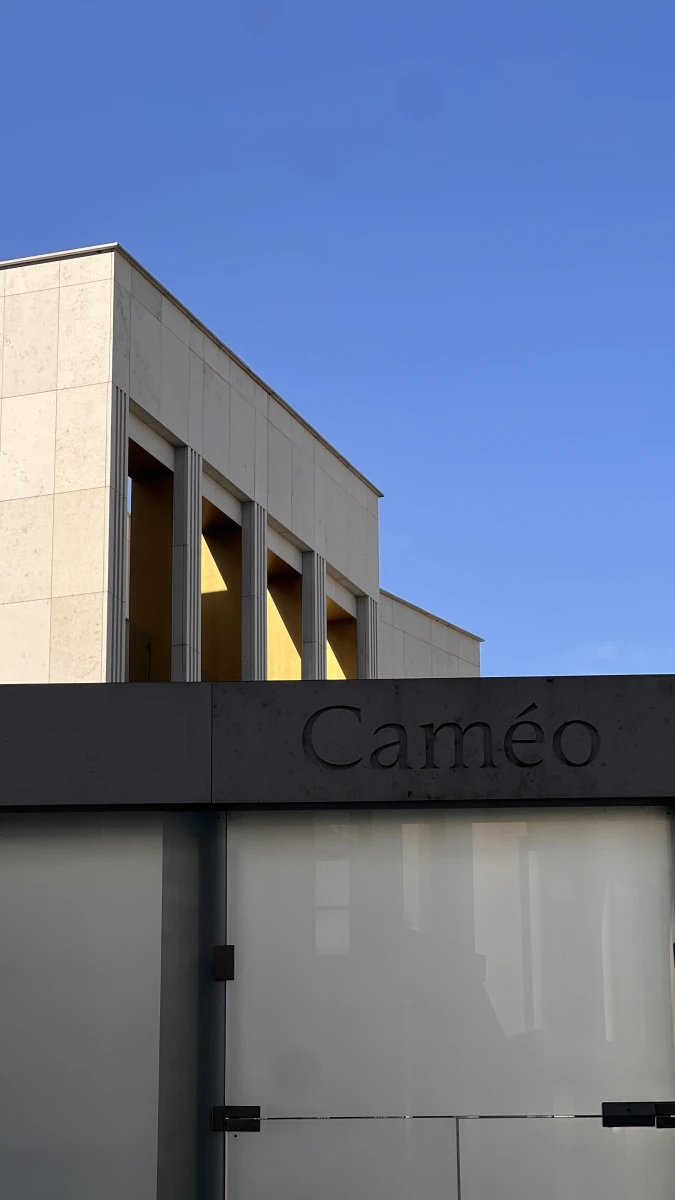 ЖК Caméo Moscow Villas