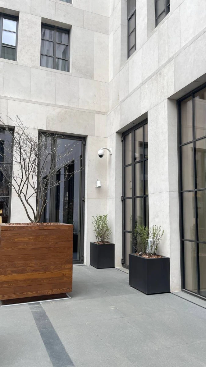 Ресторан Stella di Mosca