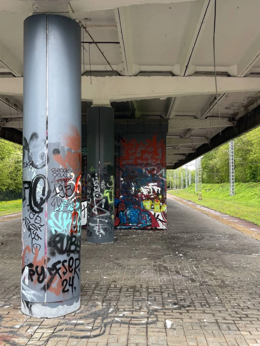 Заброшенная станция Покровское-Стрешнево