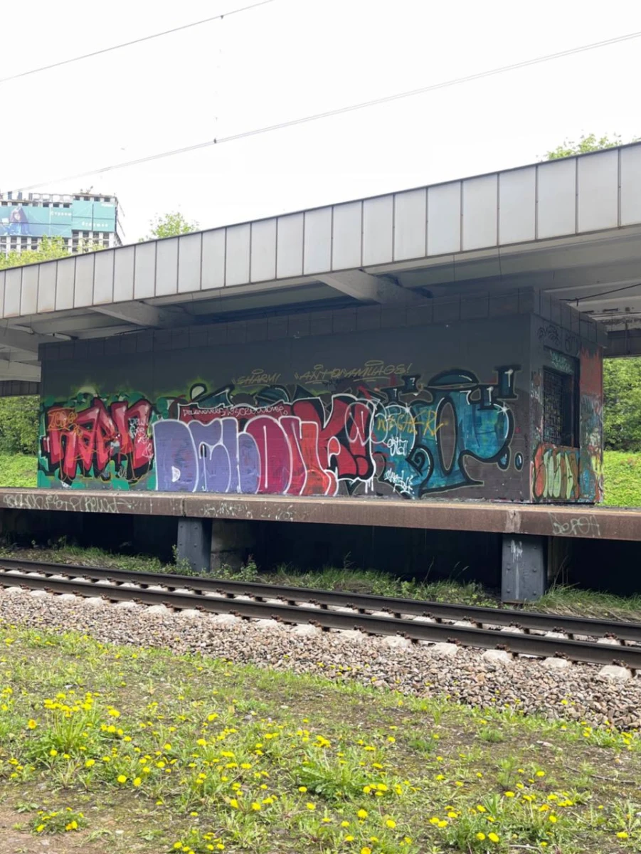 Заброшенная станция Покровское-Стрешнево