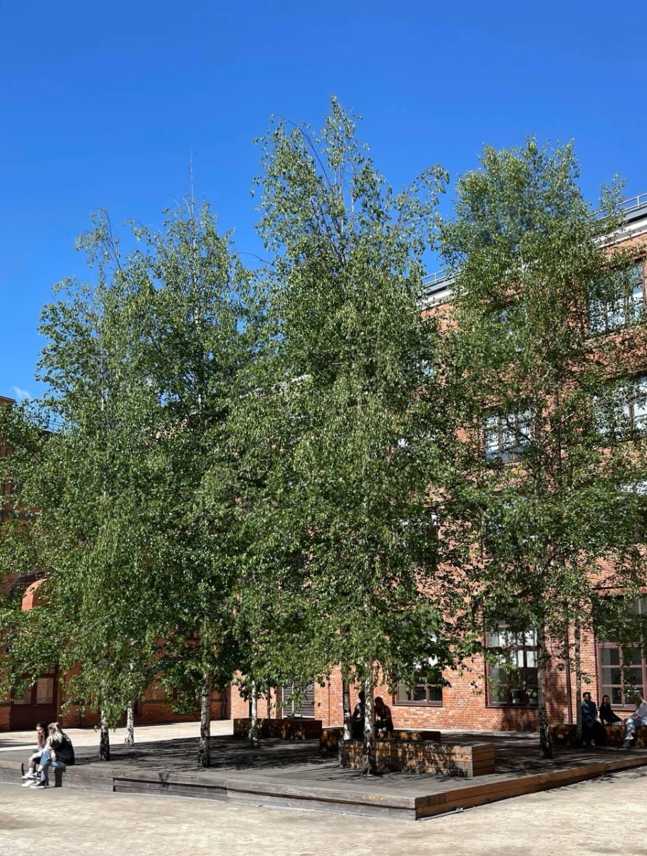 Двор Фабрики Станиславского