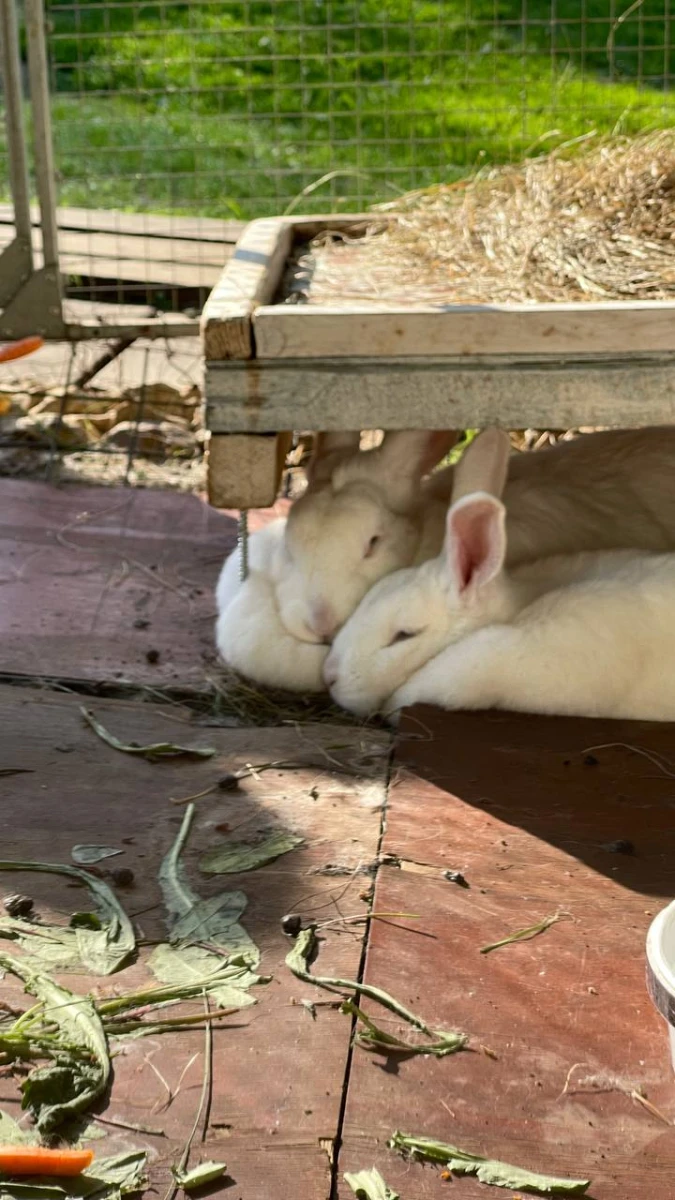 Загородный клуб Зеленое озеро