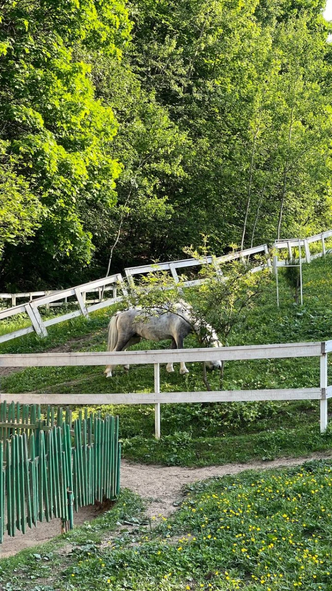 Загородный клуб Зеленое озеро