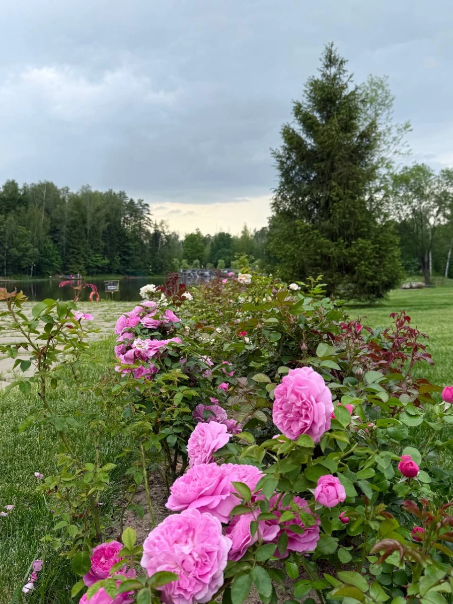 Парк Ближняя дача