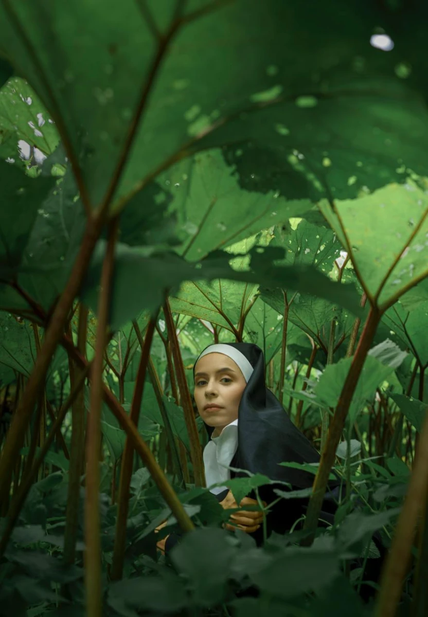 Локация с растениями