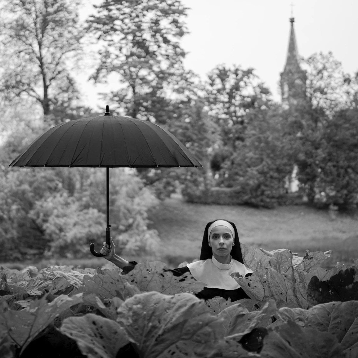 Локация с растениями