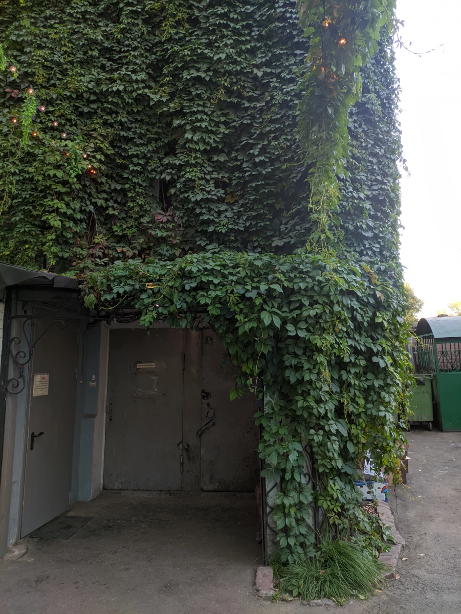 Тайный дворик