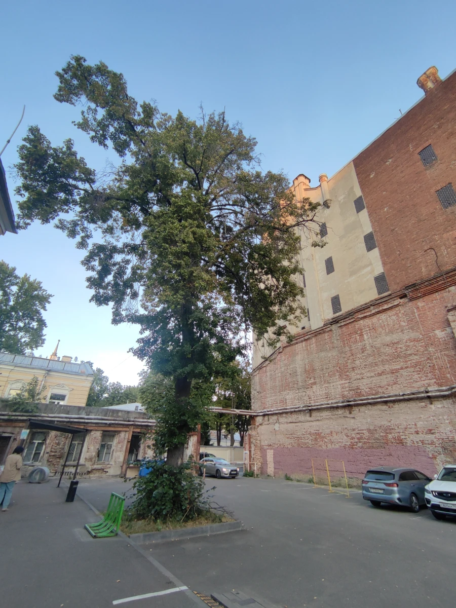 Разрушенная стена дома