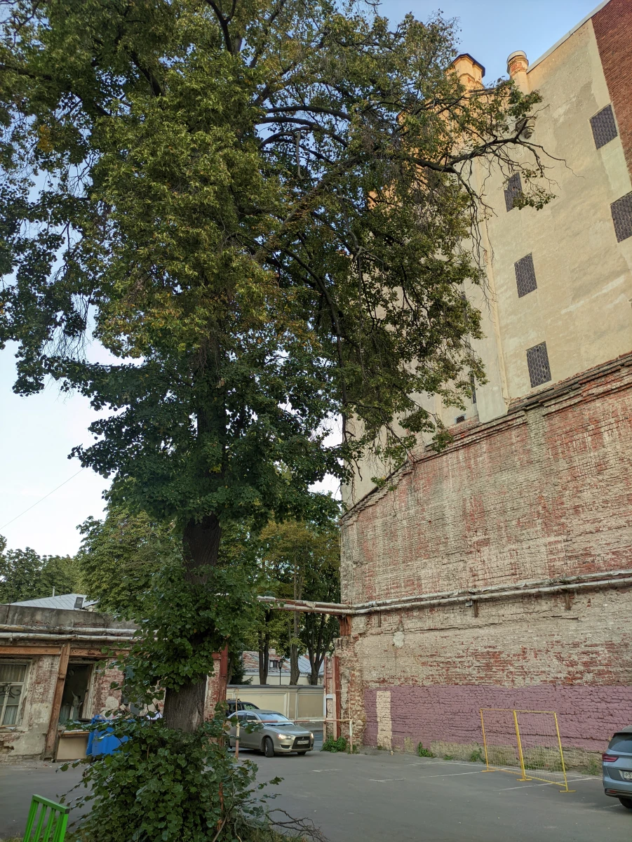 Разрушенная стена дома