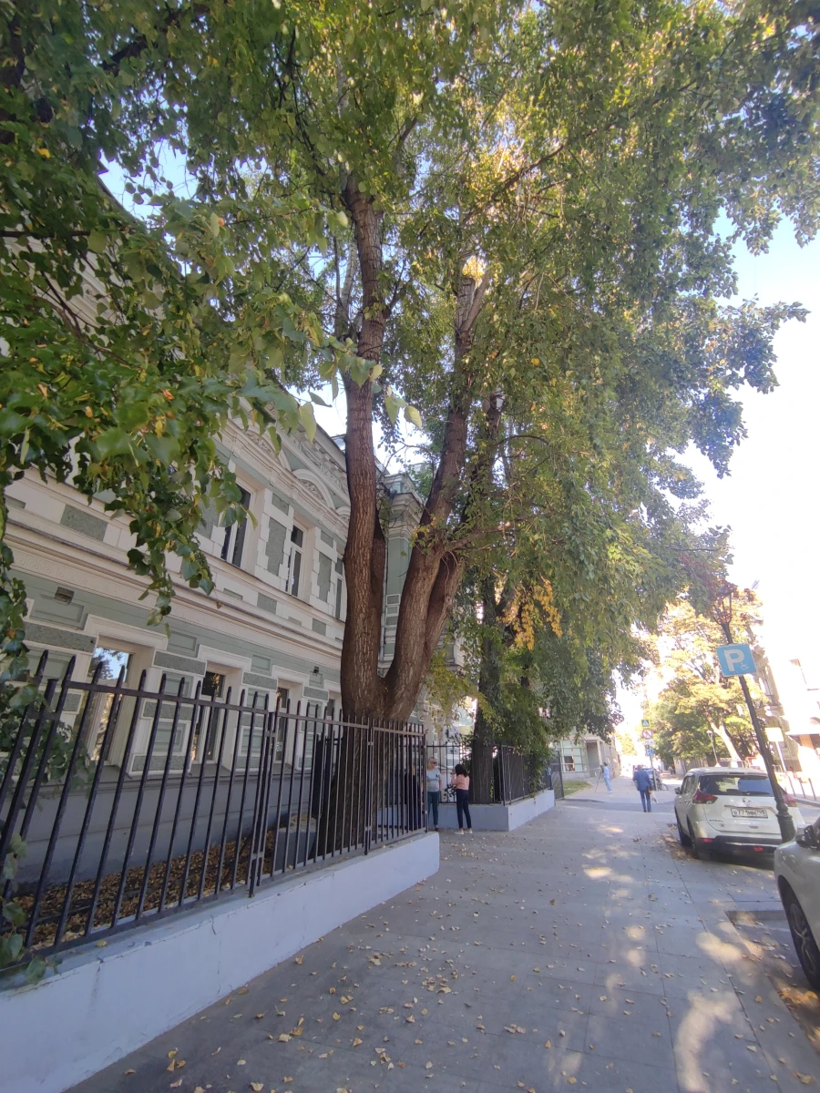 Особняк и красивая дорога