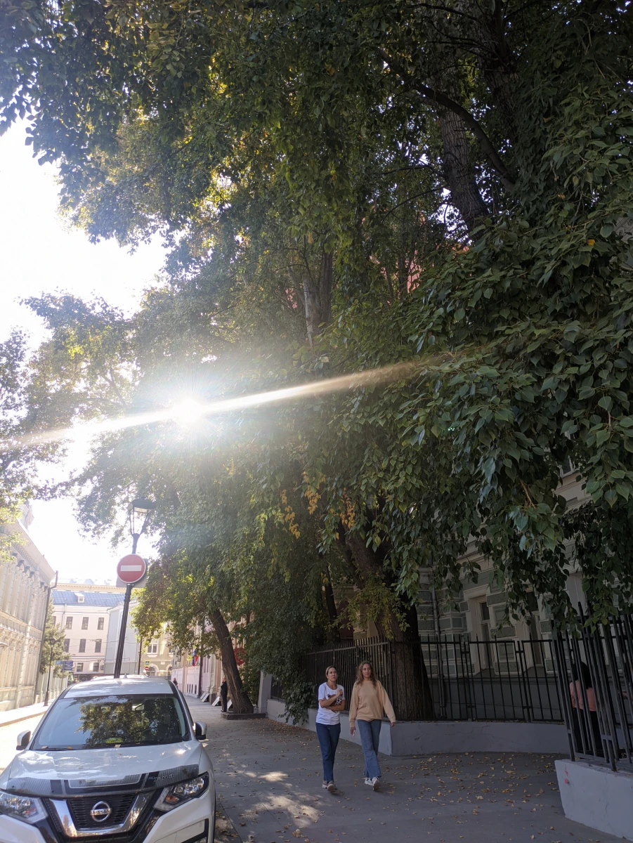 Особняк и красивая дорога