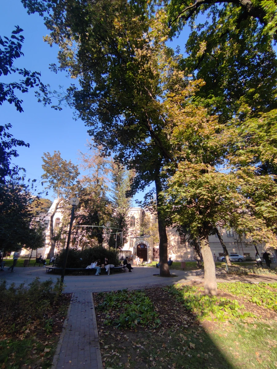 Сквер с большими дубами