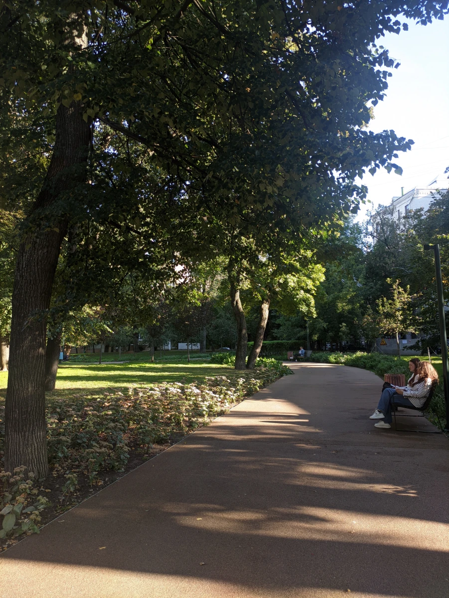 Сквер с большими дубами