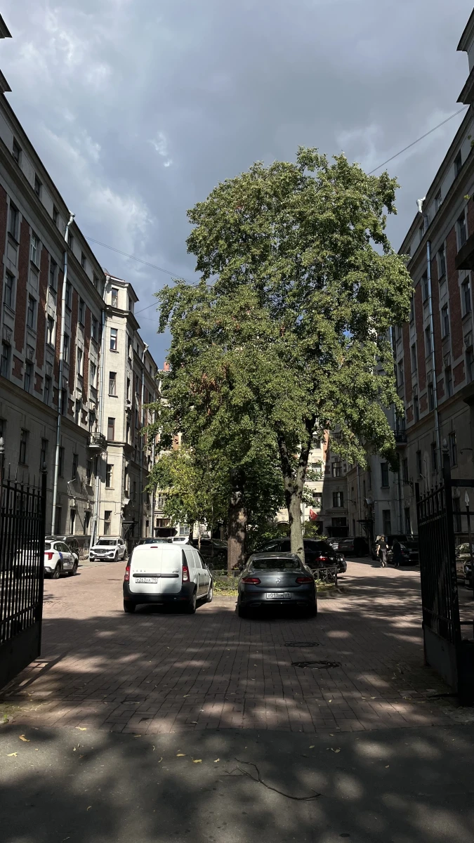 Арка у метро «петроградская»
