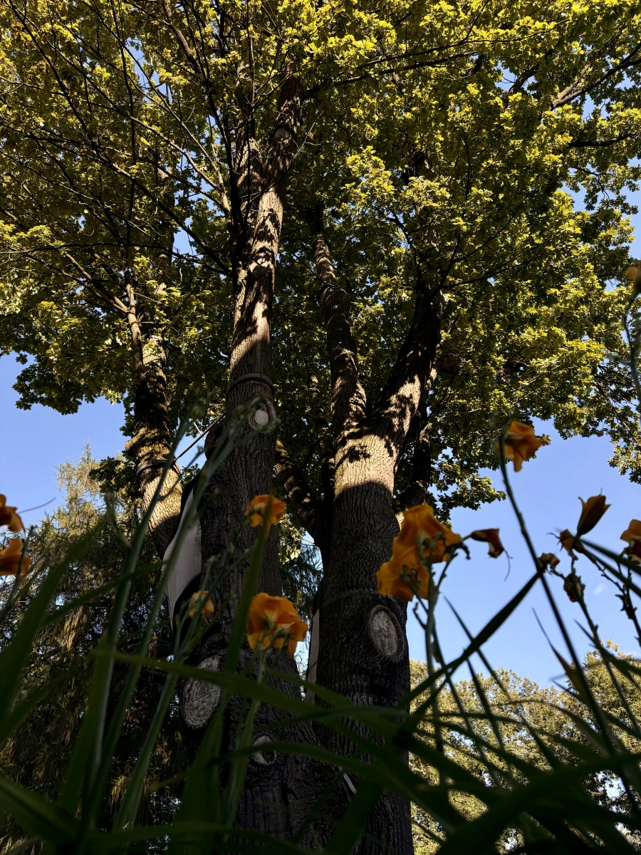 Музей-усадьба Остафьево