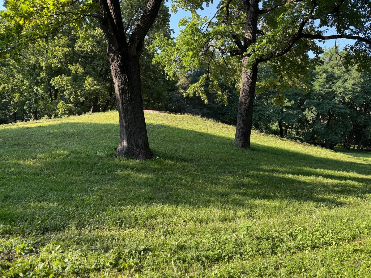 Парк Усадьба Трубицких