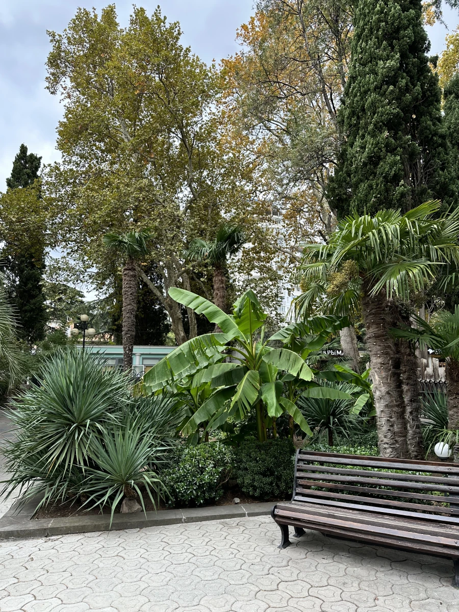 Католическая церковь Непорочного зачатия Пресвятой Девы Марии