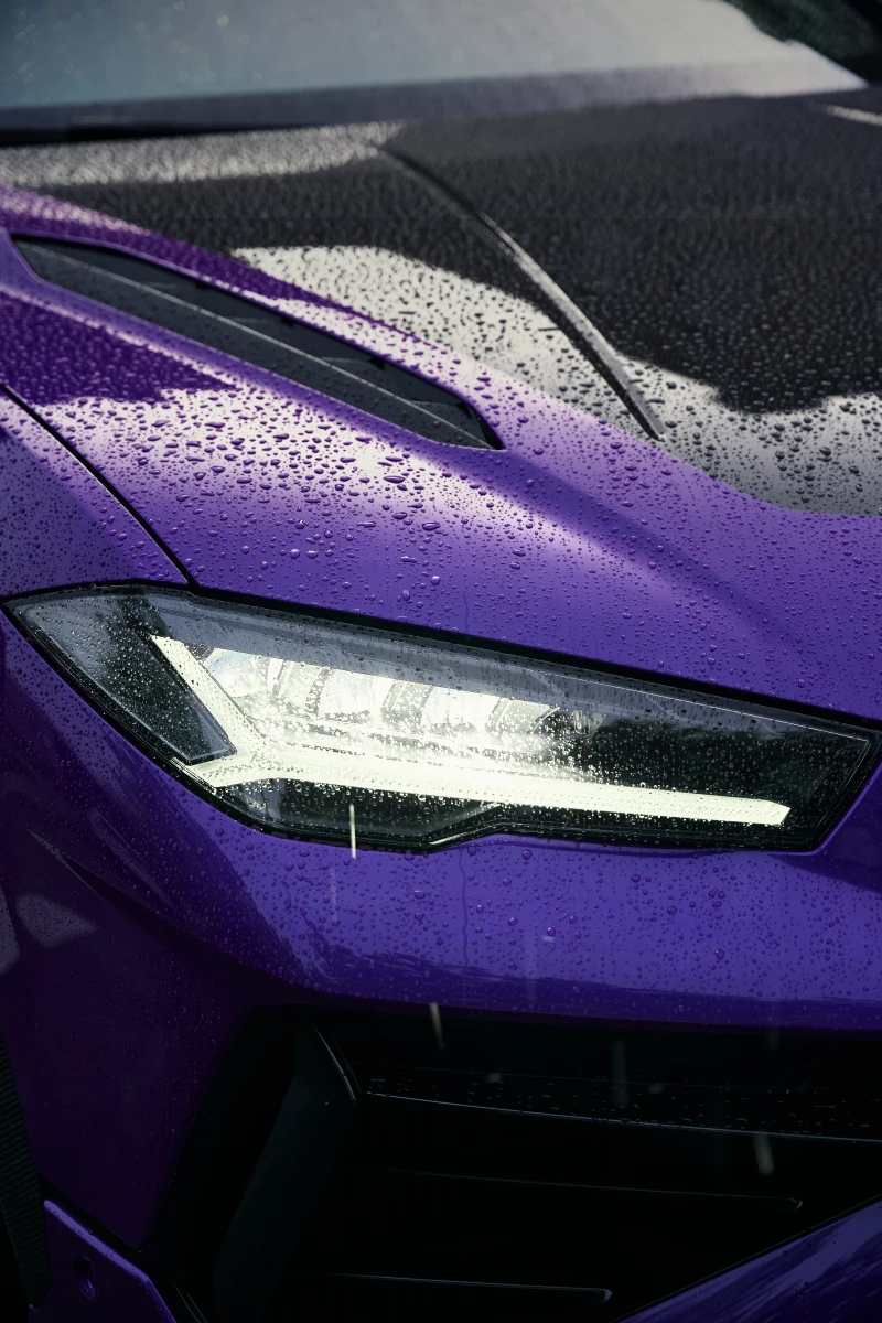 Фото с авто у максидома