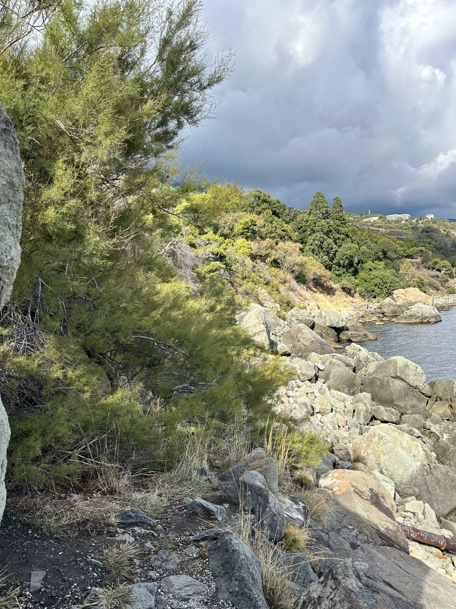 Скала художника И.К. Айвазовского