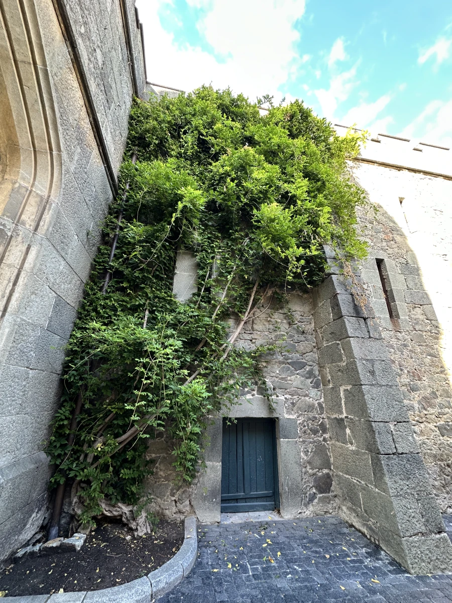 Воронцовский дворец в Крыму