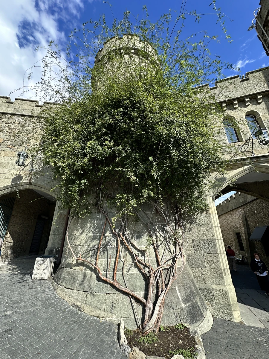 Воронцовский дворец в Крыму