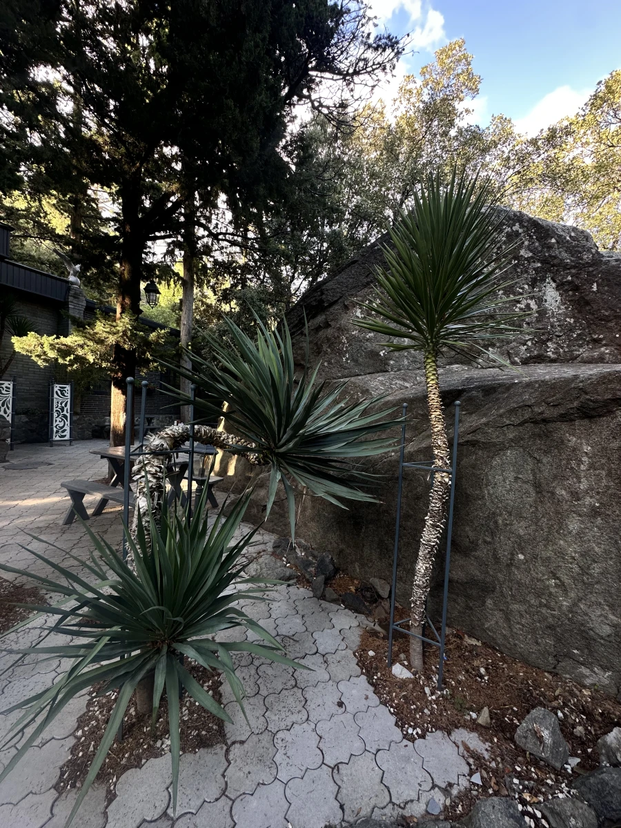 Кафе 1837 Алупка