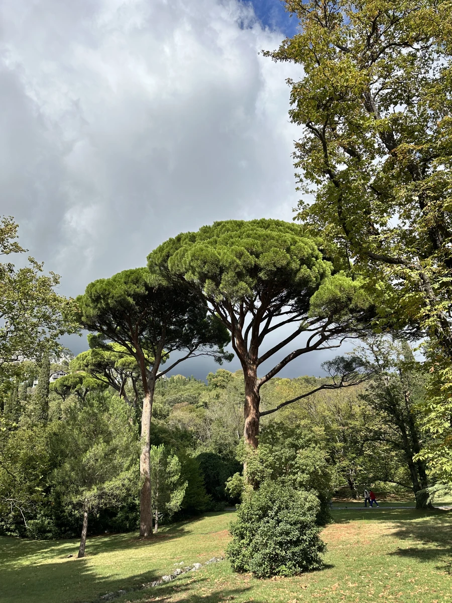 Воронцовский парк в Алупке