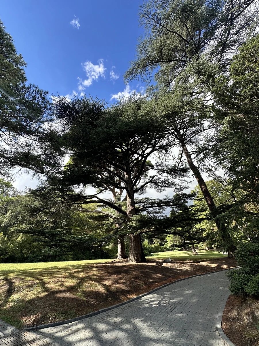 Воронцовский парк в Алупке