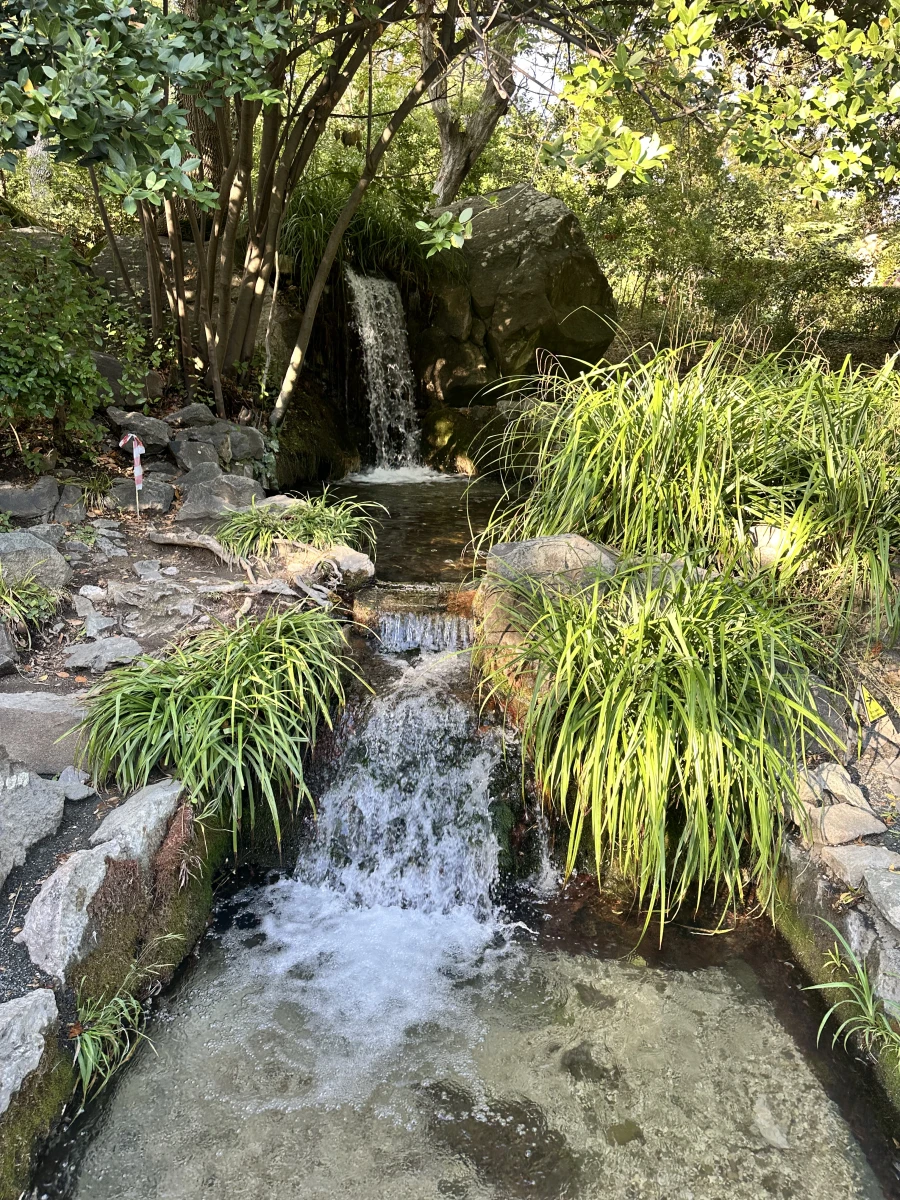 Воронцовский парк в Алупке