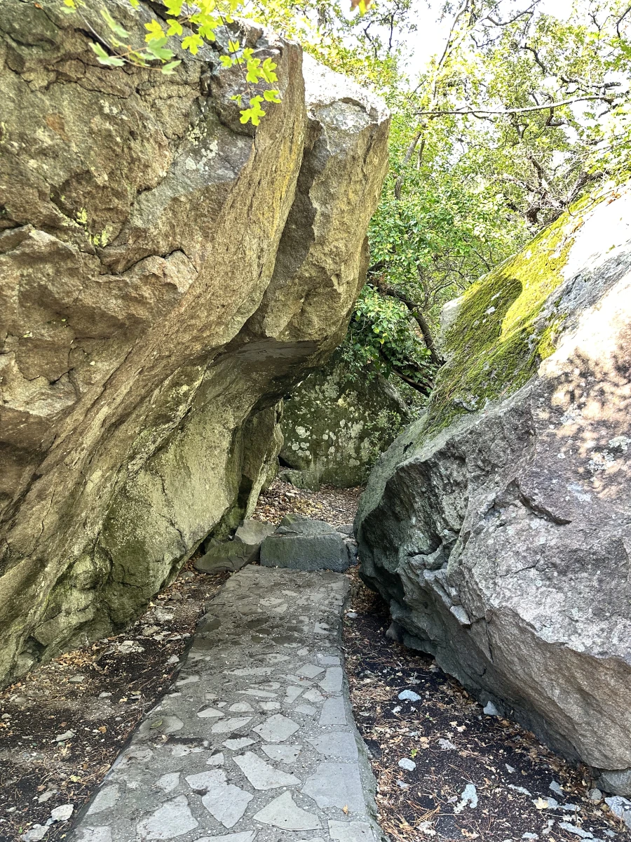 Воронцовский парк в Алупке