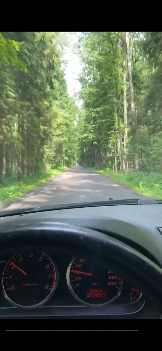 Сосновый бор