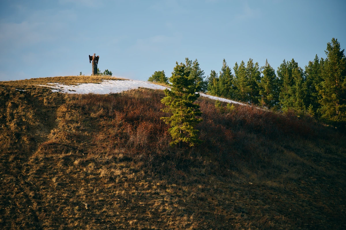 Эко Парк Орто Дойду