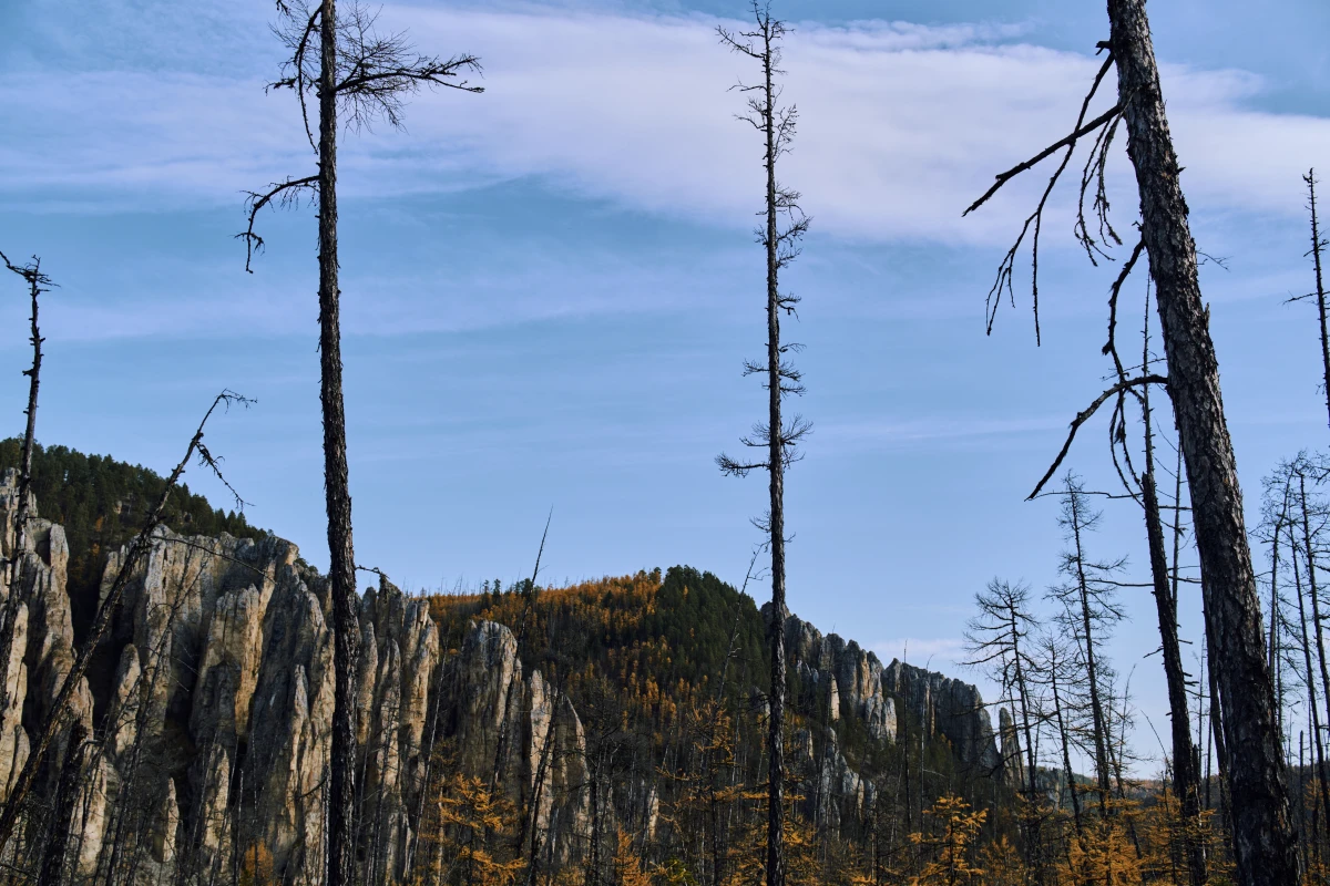 Ленские столбы