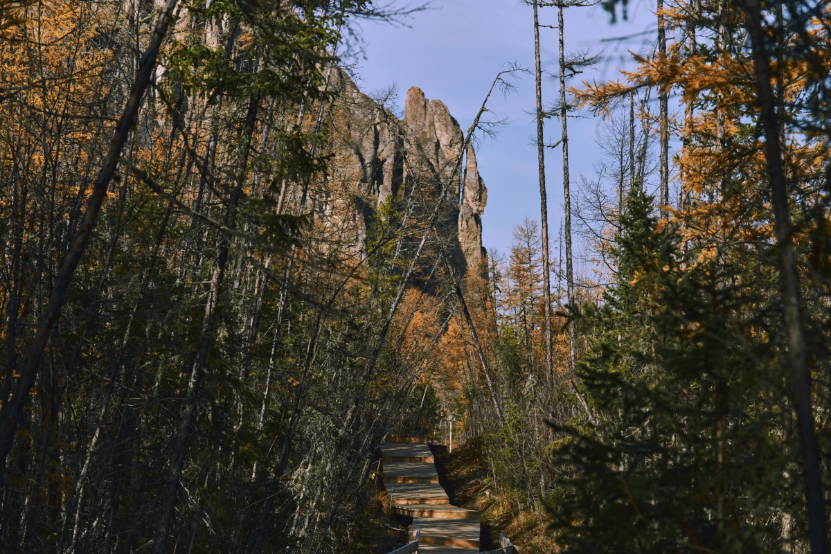 Ленские столбы