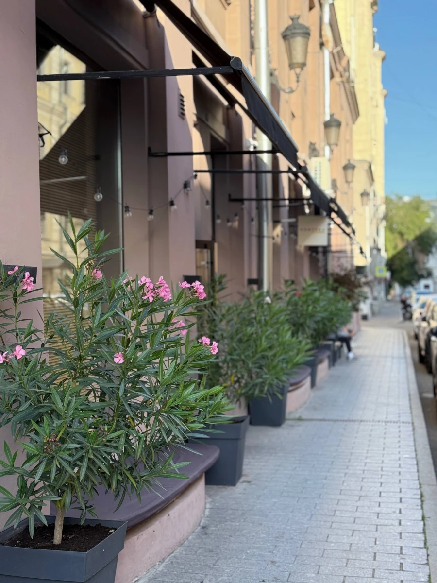 Розовое здание