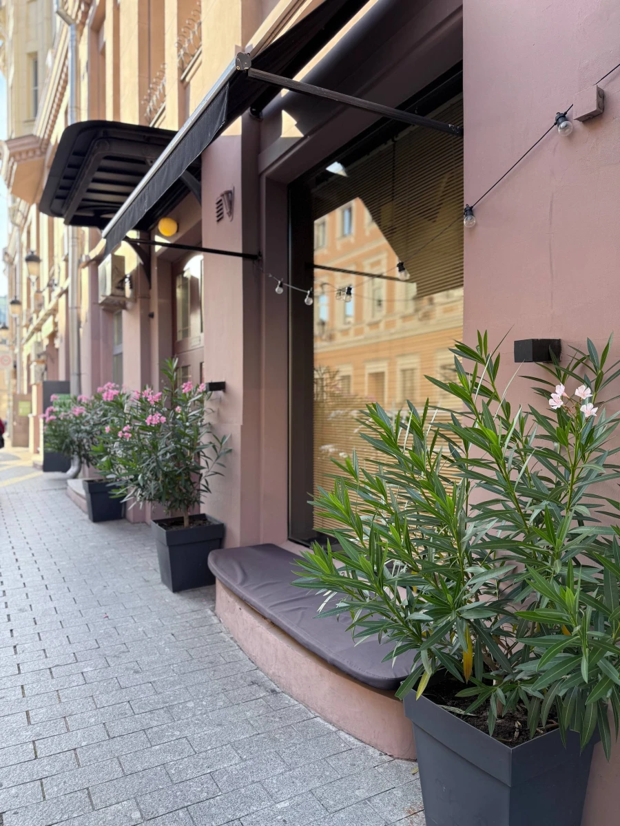 Розовое здание