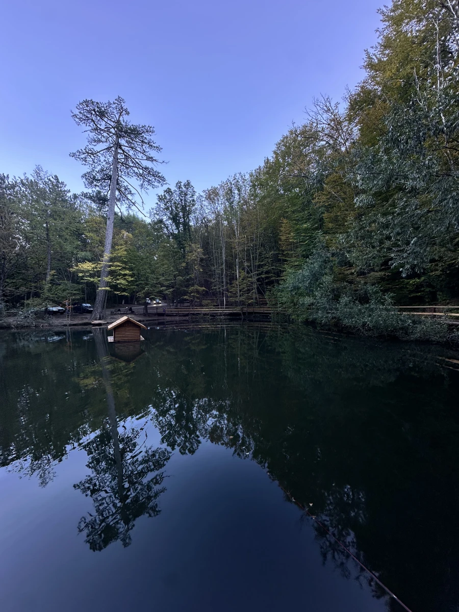 Озеро с Черепахами на Ай-петри