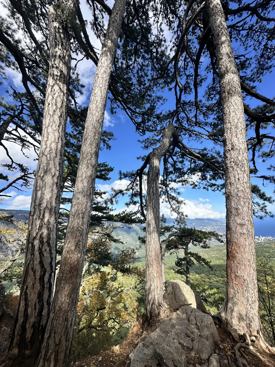 Перевал Пендикюль Ай-петри