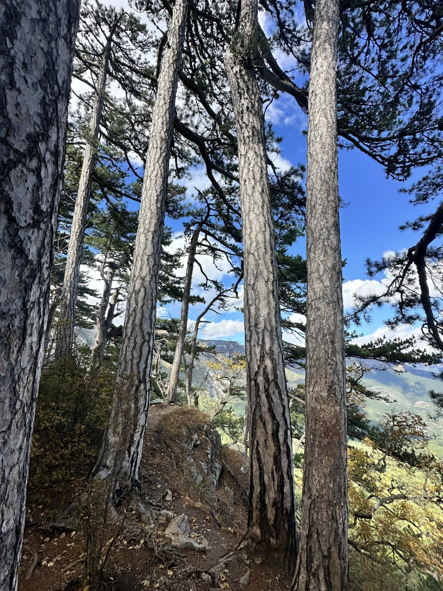 Перевал Пендикюль Ай-петри