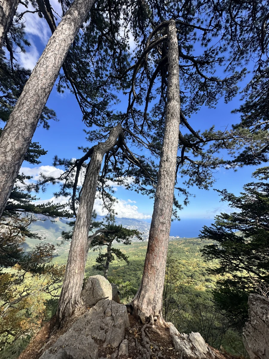Перевал Пендикюль Ай-петри