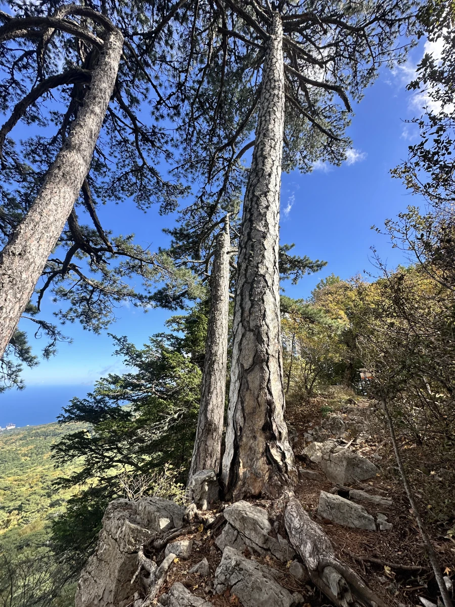 Перевал Пендикюль Ай-петри
