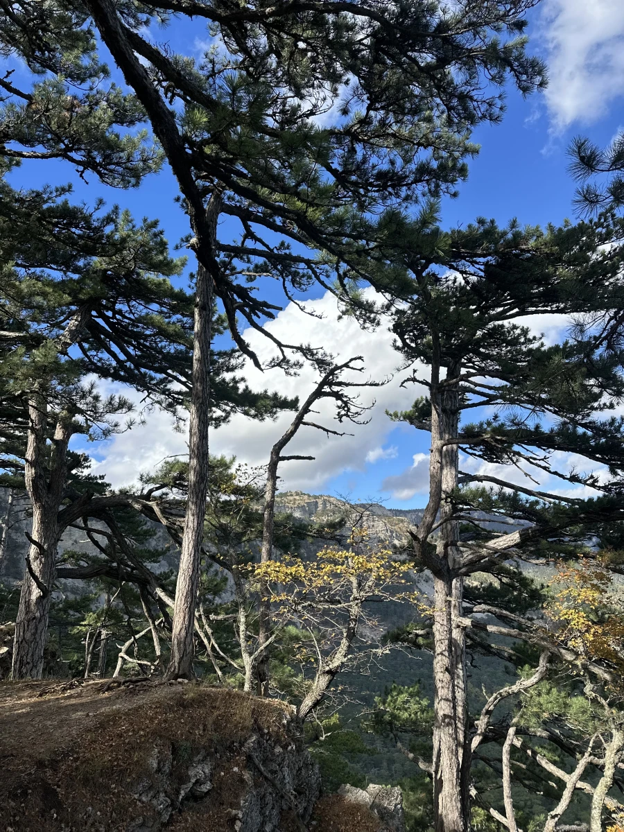 Перевал Пендикюль Ай-петри